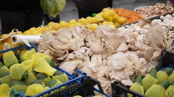 Discover a vibrant Fresh Produce Display at the local Farmers Market with Mushrooms and Citrus video