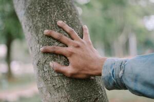 Close-up of a hand holding a tree trunk, symbolizing a connection with nature. photo
