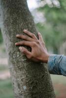 Close-up of a hand holding a tree trunk, symbolizing a connection with nature. photo