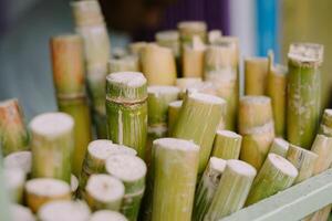 Sugarcane stalk standing tall, displaying its natural green texture photo