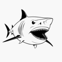 Aggressive Shark Illustration vector