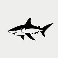 Line Art of a Shark vector