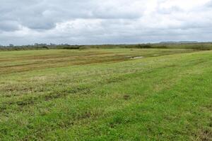 wet meadow landscape behind the north sea dunes photo