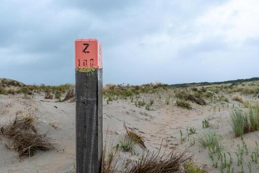 wooden beach pile on the coast in ouddorp, the netherlands, in cloudy autumn weather photo