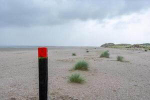 wooden beach pile on the coast in ouddorp, the netherlands, in cloudy autumn weather photo