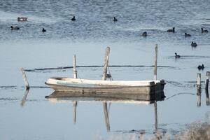tethered wooden boat on pond photo