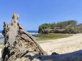 Peh Pulo Beach in East Java, Indonesia, with its blue sea and very white sand. photo