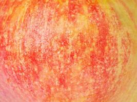 Apple texture red and yellow as background. photo
