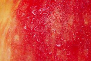Red and yellow apple texture with water drops as background. photo