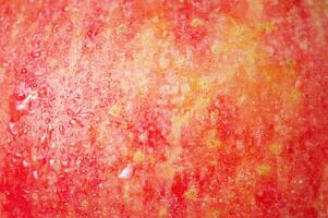 Apple texture red and yellow as background. photo