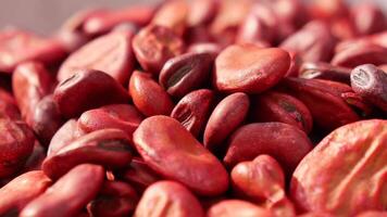 Closeup of red soy beans texture background. video