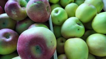 Close up of fresh green and red apples in a market, ideal for autumn, harvest season, and Thanksgiving concepts video