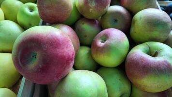 Freshly harvested apples piled together, ideal for autumn concepts or Thanksgiving and harvest related themes video