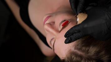 Preparing eyebrows for permanent makeup Master makes styling with an eyebrow brush Permanent eyebrow makeup, performing eyebrow tattoo PMU video
