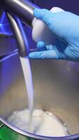 Worker at food factory opens the tap. Milk is poured into a metal bucket. Close up. Products for sweets production. Vertical video