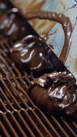 Manufacturing of marshmallows at the confectionery factory. Marshmallows just covered with chocolate move along the conveyor. Close up. Vertical video