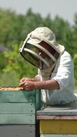 Beekeeper in protective hat shakes the bees off the frame. Man uses long brush to clean the frame from insects. Bee swarm flying around the apiary. Vertical video