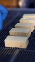 White creamy sweets being laid on the conveyor grate by the worker's hands in gloves. Candies move quickly on the conveyor to go under the next procedure. Close up. Vertical video
