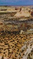 Rocky landscape of endless desert with little bushes of greenery. Amazing canyons of Utah, USA at the backdrop of blue sky. Vertical video