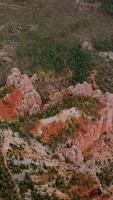 Splendid rocks in Bryce National park overgrown with green pine tree forest. Aerial view panorama of canyons in Utah, USA. Vertical video