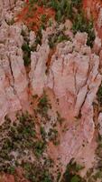 Bryce Canyon National park amazing rocks at daytime. Numerous pine trees growing among the cliffs. Aerial perspective. Vertical video