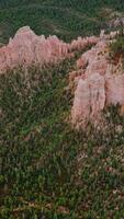 Bare rocks peeking out from the green pine tree forest. Beautiful Bryce Canyons in Utah, USA from aerial perspective. Vertical video