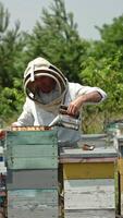 Uniformed man in protective hat examines bee hive at his farm. Man uses smoker to scare off the bees. Sunny day nature backdrop. Vertical video