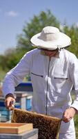 Apiarist in white outfit is busy at his farm. Man in protective hat checking up the frames. Blurred nature backdrop. Vertical video