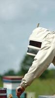 Male apiarist bent over the hives in his bee farm. Beekeeper uses metal tool in his check-up. Blurred backdrop. Vertical video