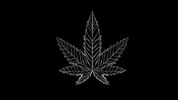 Marijuana leaf handwritten design on black background video