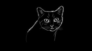 Handwritten animation of a cat on a black background video