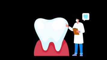 Dentist Talks About Protecting Your Teeth On Alpha Channel 2D Cartoon Animation video