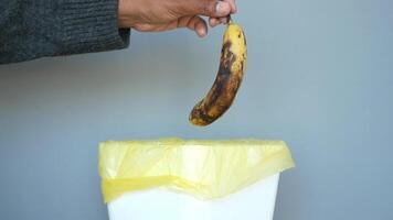 Properly Discarding Overripe Bananas into the Trash Bin to Maintain Cleanliness and Hygiene video