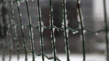 Rain on a Wire Fence Capturing the Unique Beauty of Nature Through the Artistic Lens video
