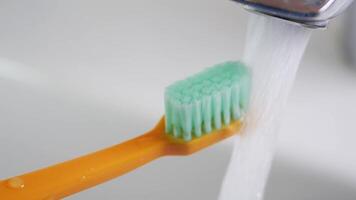 Zahnbürste unter Laufen Wasser ein umfassend Täglich Oral Hygiene Routine zum optimal Gesundheit video