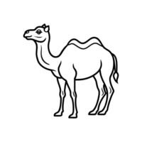 Camel Line Art illustration. Camel Black Stroke Linear Icon white background vector