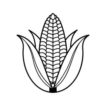 Corn Line Icon . Flat Design Sign for Web and Print Graphics vector