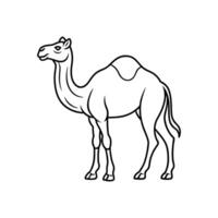Camel Line Art illustration. Camel Black Stroke Linear Icon white vector