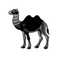 Camel Graphic Silhouette Logo Design illustration. Camel Icon Flat Design vector