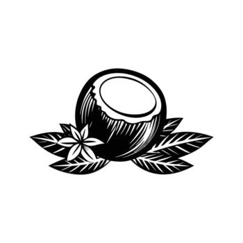 Isolated Coconut Half Icon. Perfect for Web and Graphic Templates image vector