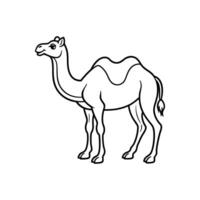 Camel Line Art illustration. Camel Black Stroke Linear Icon white background vector