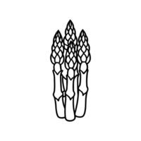 illustration of shoots of garden asparagus. Flat icon of fresh organic sparrow grass vector