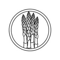 Illustration of shoots of garden asparagus. Flat line icon of fresh organic sparrow grass . vector