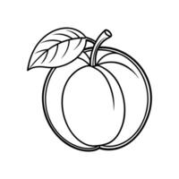 Apricot Line Icon Template. Crisp Design on White Background vector