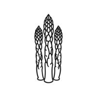 illustration of shoots of garden asparagus. Flat line icon of fresh organic sparrow grass. vector