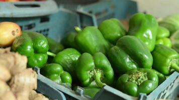 Green peppers in a market video