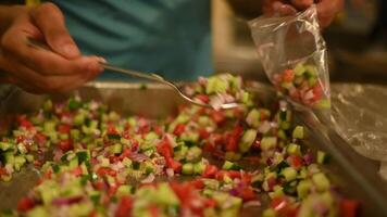 Traditional Arabic green salad with slices of cucumber, tomatoes and slices onion video