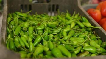 Fresh green chili peppers in a green plastic basket at a local market video