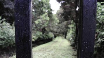 Forbidden locked nature jungle and forest behind fence and gate. video