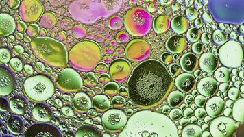 Abstract Colorful and Shiny Oil Bubbles Circles video